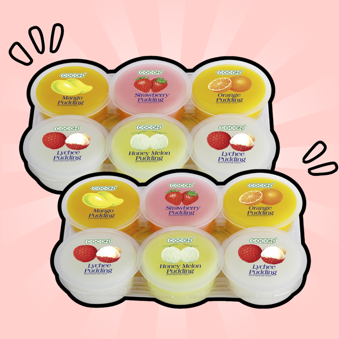 2x Pudding Nata de Coco – Fruchtiger Kokosnuss-Pudding mit Nata-de-Coco-Stückchen (2x480g)