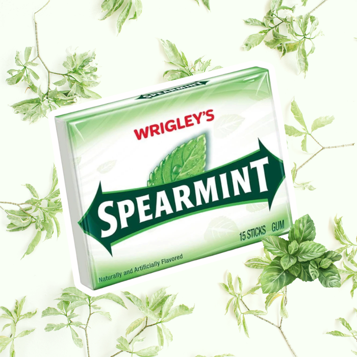 1x Wrigley’s Spearmint Chewing Gum – 15 Sticks – 1 Packung
